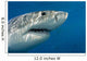 Great White Shark Just Wall Decal