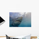 Great White Shark Wall Decal Design 2