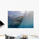 Great White Shark Wall Decal Design 2