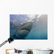 Great White Shark Wall Decal Design 2