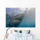 Great White Shark Wall Decal Design 2