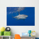 Great White Shark Wall Decal Design 1