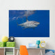 Great White Shark Wall Decal Design 1