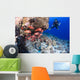 Scuba diver and a school of shoulderbar soldierfish Wall Mural