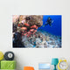 Scuba diver and a school of shoulderbar soldierfish Wall Mural