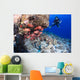 Scuba diver and a school of shoulderbar soldierfish Wall Mural