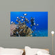 Junior Certified Scuba Diver Wall Decal
