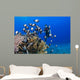 Junior Certified Scuba Diver Wall Decal