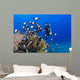 Junior Certified Scuba Diver Wall Decal