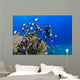 Junior Certified Scuba Diver Wall Decal