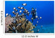 Junior Certified Scuba Diver Wall Decal