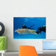 Divers Underwater Scooters and Wall Decal