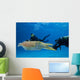 Divers Underwater Scooters and Wall Decal
