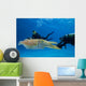 Divers Underwater Scooters and Wall Decal