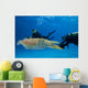 Divers Underwater Scooters and Wall Decal