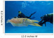 Divers Underwater Scooters and Wall Decal
