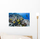 Schooling Raccoon Butterflyfish and Wall Decal