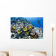 Schooling Raccoon Butterflyfish and Wall Decal