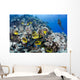 Schooling Raccoon Butterflyfish and Wall Decal