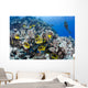Schooling Raccoon Butterflyfish and Wall Decal