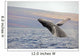 Breaching Humpback Whale Wall Decal Design 2