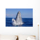 Breaching Humpback Whale Wall Decal Design 1