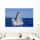 Breaching Humpback Whale Wall Decal Design 1