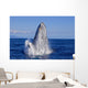Breaching Humpback Whale Wall Decal Design 1