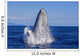 Breaching Humpback Whale Wall Decal Design 1