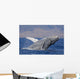 Breaching Humpback Whale with Wall Decal Design 2