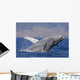 Breaching Humpback Whale with Wall Decal Design 2