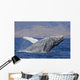 Breaching Humpback Whale with Wall Decal Design 2