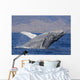 Breaching Humpback Whale with Wall Decal Design 2