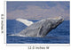Breaching Humpback Whale with Wall Decal Design 2
