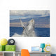 Breaching Humpback Whale with Wall Decal Design 1