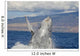 Breaching Humpback Whale with Wall Decal Design 1