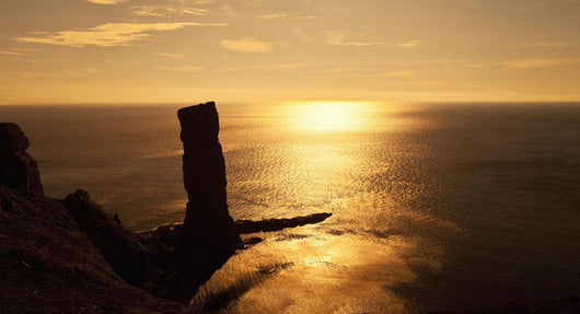 Old Man Hoy Wall Decal