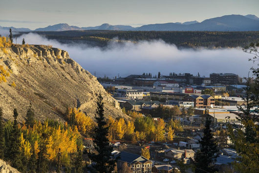 Fog Hangs over Yukon Wall Decal