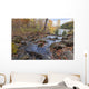 River Autumn Wall Decal