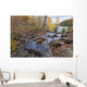 River Autumn Wall Decal