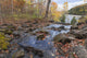 River Autumn Wall Decal