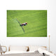 Aerial Spray Application Wall Decal Design 2