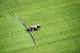 Aerial Spray Application Wall Decal Design 2