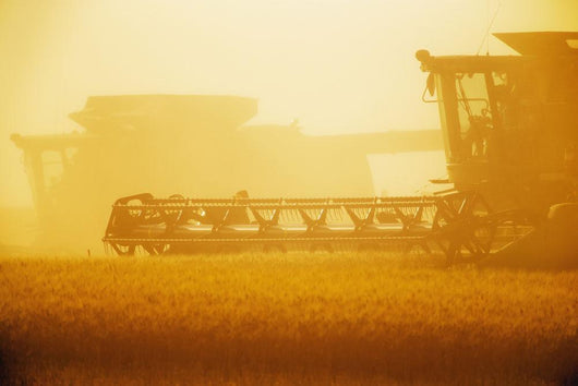 Paplow Harvesting Company Custom Wall Decal Design 7