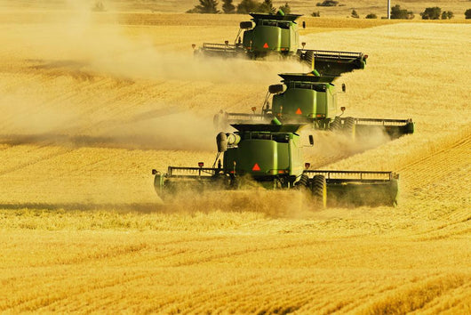 Paplow Harvesting Company Custom Wall Decal Design 6