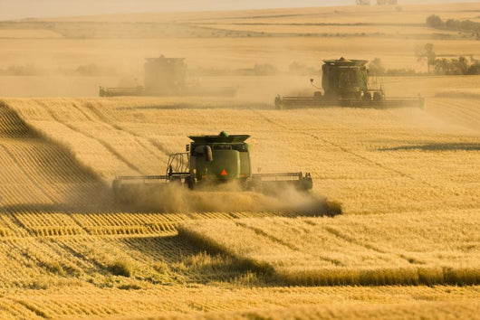 Paplow Harvesting Company Custom Wall Decal Design 5