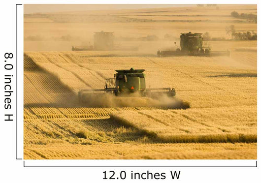 Paplow Harvesting Company Custom Wall Decal Design 5