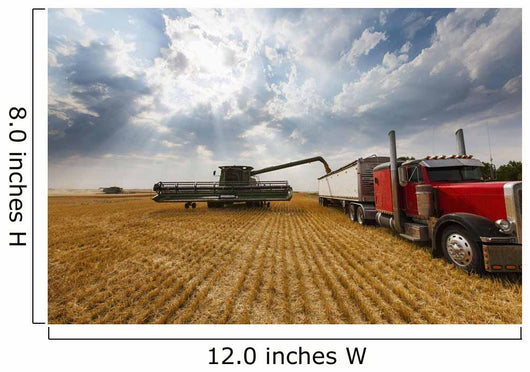 Paplow Harvesting Company Custom Wall Decal Design 4