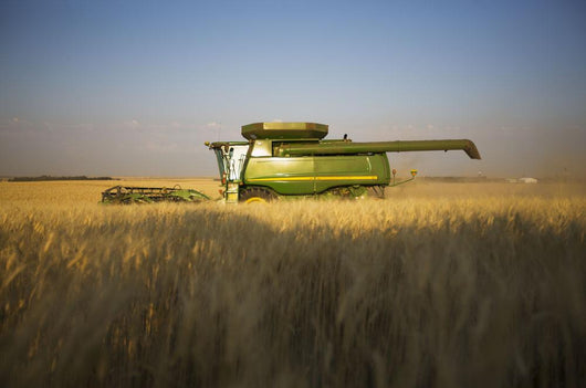 Paplow Harvesting Company Custom Wall Decal Design 3