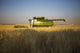 Paplow Harvesting Company Custom Wall Decal Design 3